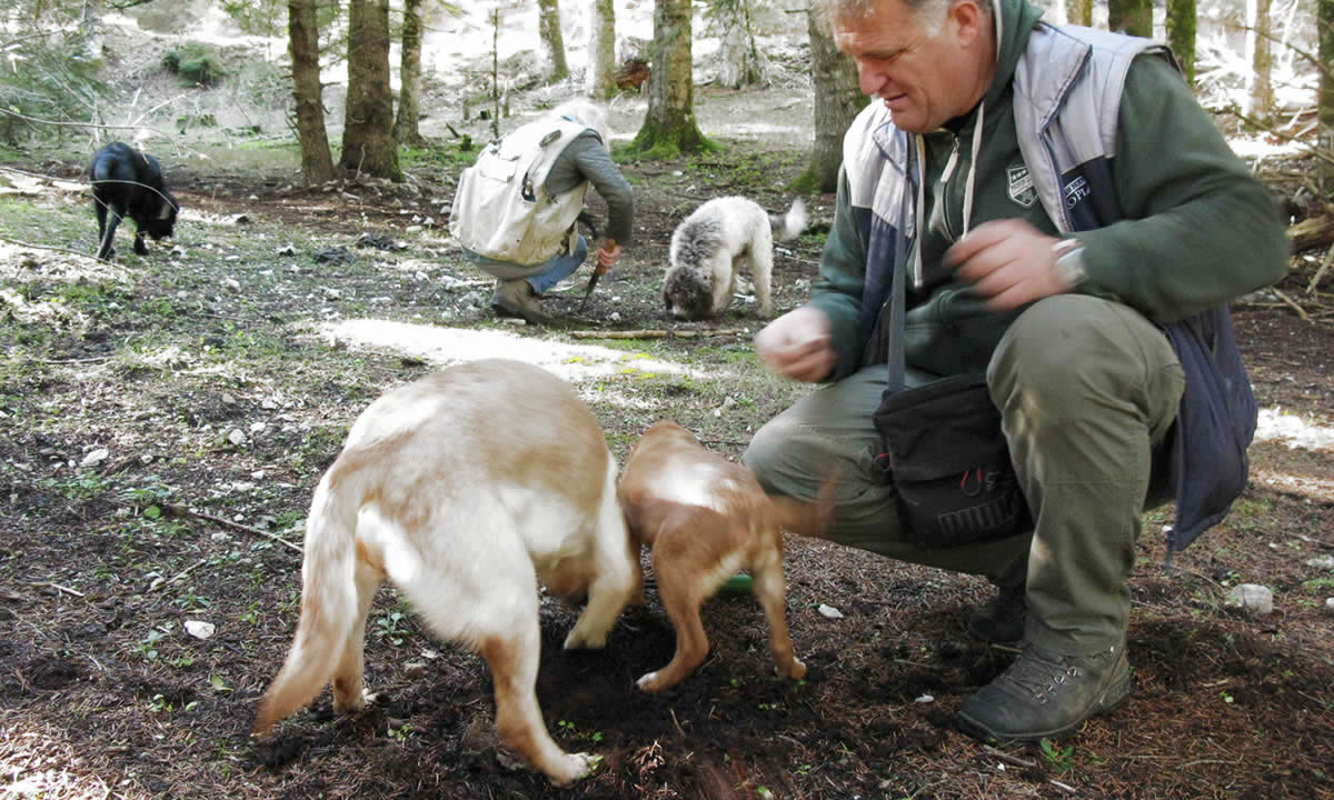 ציד כמהין ביואנינה, אפירוס, יוון | Truffle hunting in Epirus, Ioannina, Greece