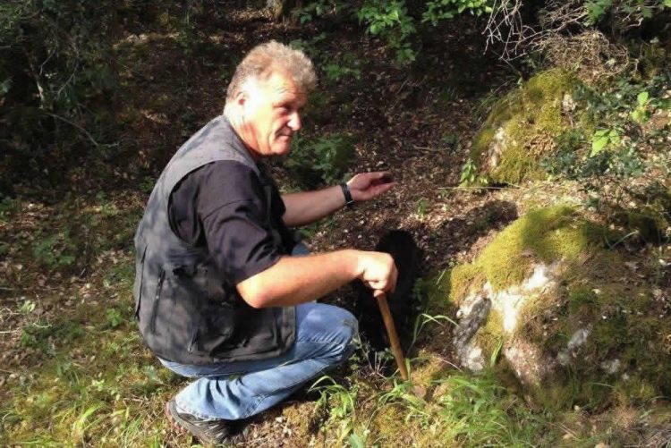Επίδειξη με κυνήγι τρούφας και γευσιγνωσία τρούφας σε Ιταλούς δημοσιογράφους